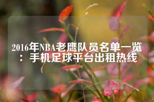 2016年NBA老鹰队员名单一览：手机足球平台出租热线