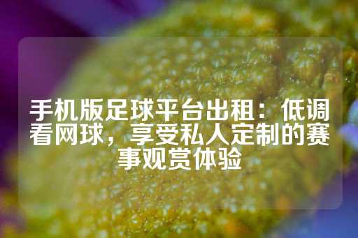 手机版足球平台出租：低调看网球，享受私人定制的赛事观赏体验-第1张图片-皇冠信用盘出租