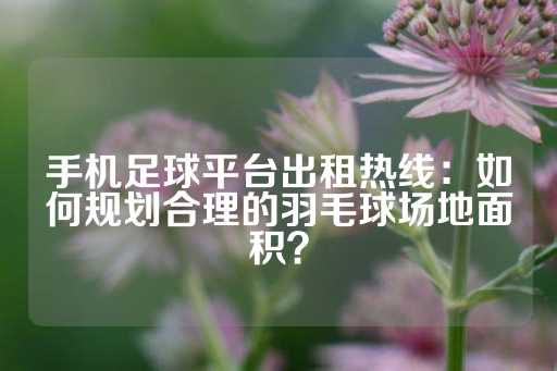 手机足球平台出租热线：如何规划合理的羽毛球场地面积？-第1张图片-皇冠信用盘出租