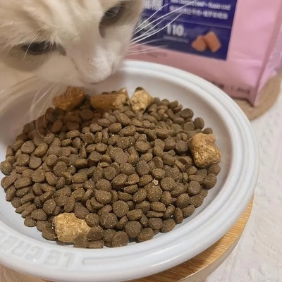 欧冠猫粮垃圾真的适合猫咪吃吗？-第1张图片-www.211178.com_果博福布斯